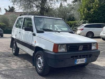 Usata Fiat Panda 4x4 Trekking 54 CV (39 kW) 2001 Bianco Utilitaria