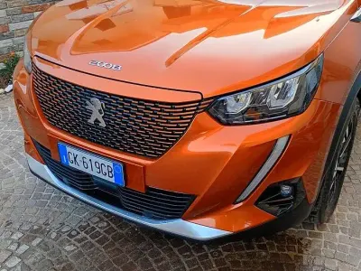 Usata Peugeot e-2008