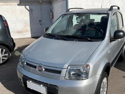 usata Fiat Panda 4x4 Panda 1.1 Active Eco