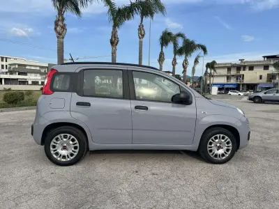 Usata Fiat Panda Connect 69 CV (50 kW) 2021 Utilitaria