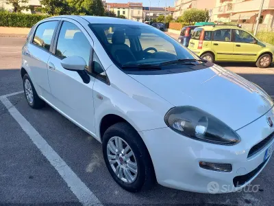 Usata Fiat Punto Pop 77 CV (56 kW) 2013 Bianco Utilitaria