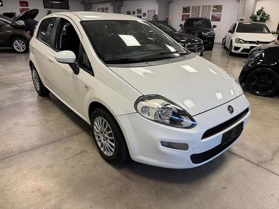 Usata Fiat Punto Lounge 85 CV (62 kW) 2014 Bianco Berlina