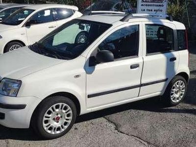 usata Fiat Panda Panda1.2 Dynamic 69cv E5