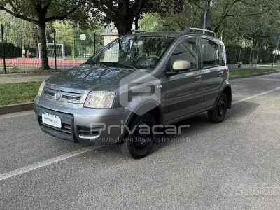 Usata Fiat Panda 4x4 60 CV (44 kW) 2010 Grigio Utilitaria