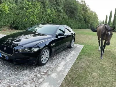Usata Jaguar XE Business Edition 200 CV (147 kW) 2017 Nero Berlina