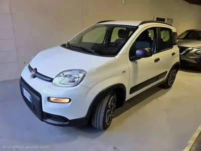 Usata Fiat Panda City Life 70 CV (51 kW) 2022 Bianco Utilitaria