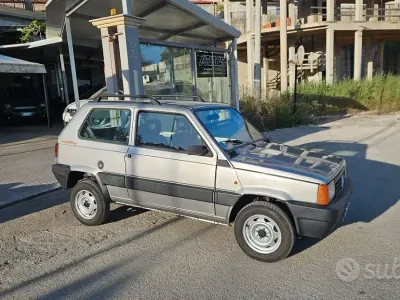 Usata Fiat Panda 4x4 Trekking 54 CV (39 kW) 2000 Grigio Utilitaria