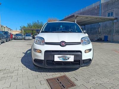 Usata Fiat Panda S 71 CV (52 kW) 2024 Bianco Utilitaria