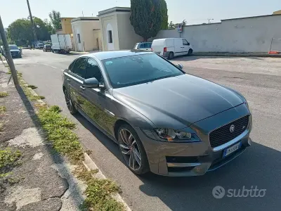 Usata Jaguar XF R-Sport 240 CV (176 kW) 2017 Grigio Berlina