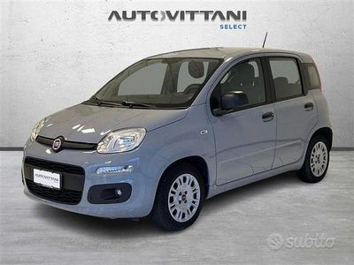 Usata Fiat Panda City Life 70 CV (51 kW) 2021 Grigio chiaro Utilitaria