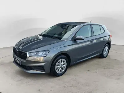 Usata Skoda Fabia