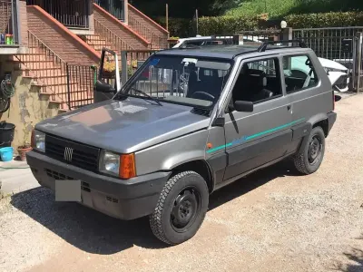 Usata Fiat Panda 4x4