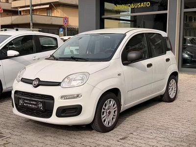 Usata Fiat Panda Easy 69 CV (50 kW) 2016 Whyte Utilitaria