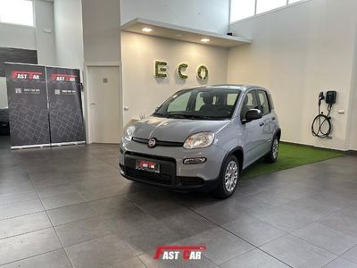 usata Fiat Panda 1.0 FireFly S&S Hybrid