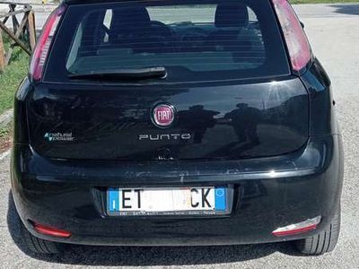 Fiat Punto Evo