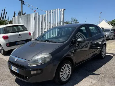 Usata Fiat Punto Evo Dynamic 70 CV (51 kW) 2011 Grigio Utilitaria