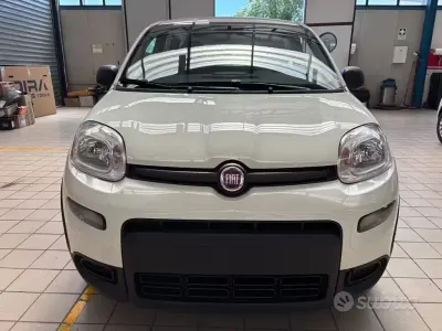 Usata Fiat Panda S 69 CV (50 kW) 2023 Bianco Utilitaria
