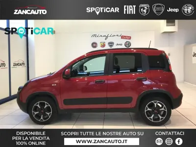 Usata Fiat Panda Cross Cross 69 CV (50 kW) 2024 Rosso Utilitaria