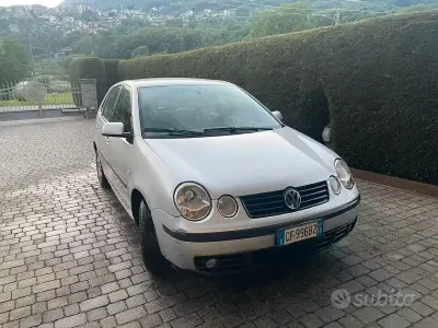 Usata VW Polo