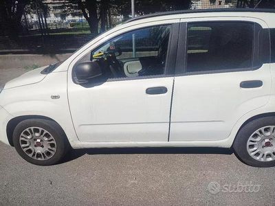 Usata Fiat Panda 69 CV (50 kW) 2015 Bianco Utilitaria