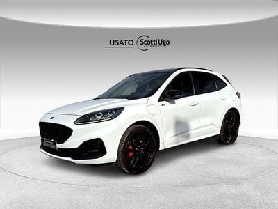 Usata Ford Kuga ST-Line 224 CV (164 kW) 2023 Bianco SUV