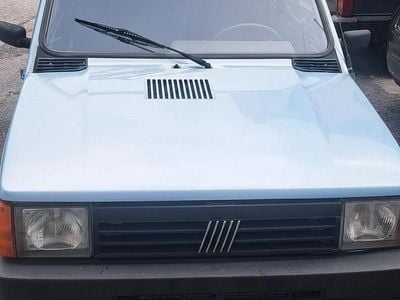Usata Fiat Panda 54 CV (39 kW) 2003 Blu Utilitaria