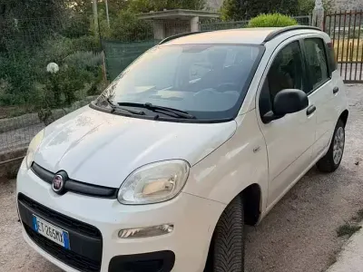 Usata Fiat Panda 85 CV (62 kW) 2013 Bianco Utilitaria