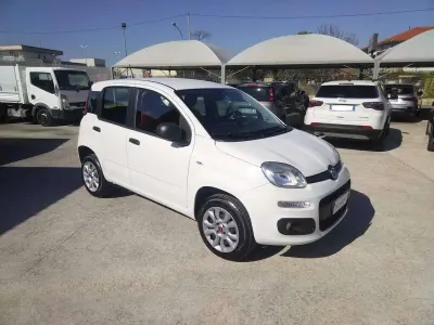 Usata Fiat Panda Easy 84 CV (61 kW) 2020 Bianco Utilitaria