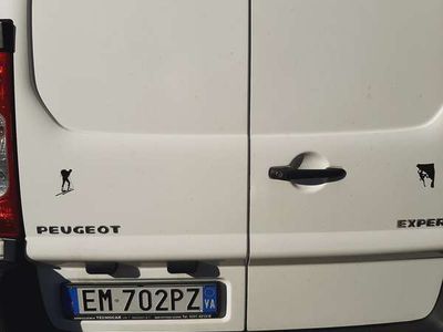 usata Peugeot Expert Furgone