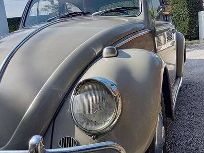 Usata VW Beetle 1960 Utilitaria