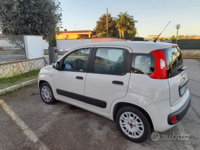 usata Fiat Panda Panda 1.2 Young