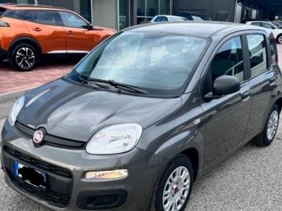 Usata Fiat Panda 69 CV (50 kW) 2019 Grigio Utilitaria