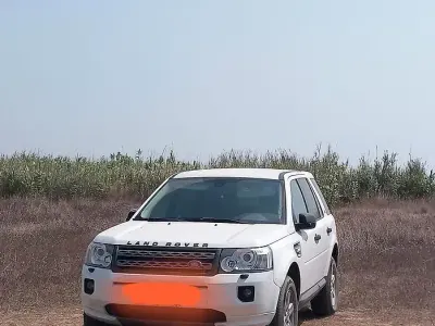 Usata Land Rover Freelander 2 190 CV (139 kW) 2011 Bianco SUV