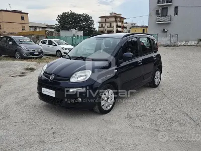 Usata Fiat Panda Easy 69 CV (50 kW) 2017 Bluazzurro Utilitaria