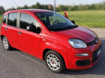 Usata Fiat Panda Easy 69 CV (50 kW) 2019 Rosso Utilitaria