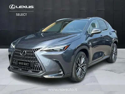 Usata Lexus NX450h+
