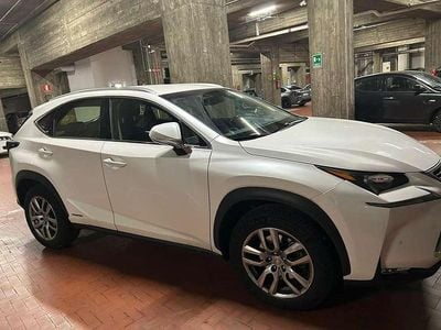 Usata Lexus NX300h Executive Line 155 CV (114 kW) 2017 Bianco SUV