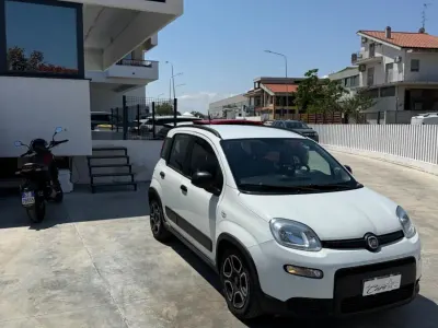 Usata Fiat Panda Sport 69 CV (50 kW) 2022 Bianco Utilitaria
