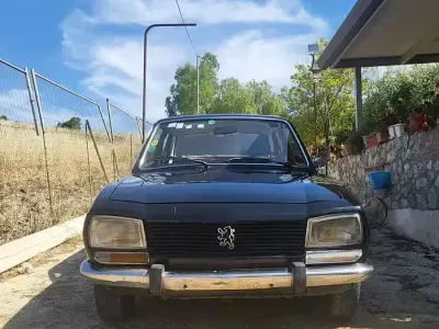 Usata Peugeot 504 1960