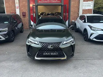 Usata Lexus UX 183 CV (134 kW) 2019 SUV