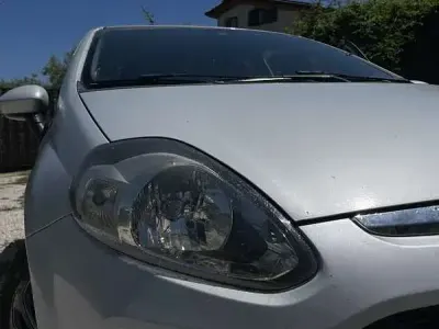 Usata Fiat Punto Evo Dynamic 75 CV (55 kW) 2012 Utilitaria