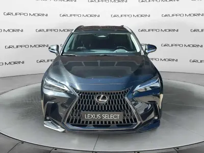 Usata Lexus NX350h Luxury Line 243 CV (178 kW) 2022 Other SUV