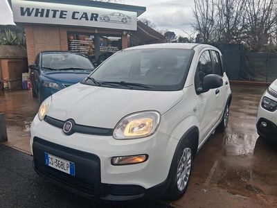 Usata Fiat Panda S 69 CV (50 kW) 2023 Bianco Utilitaria