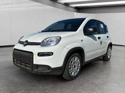 Usata Fiat Panda S 70 CV (51 kW) 2024 Bianco Utilitaria