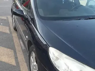 Usata Peugeot 407