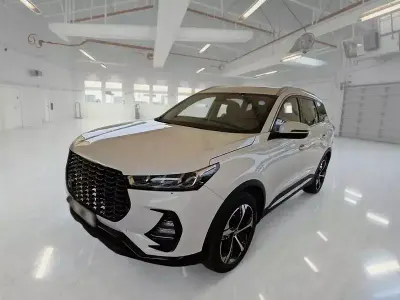 Usata DR DR 6.0 150 CV (110 kW) 2022 Bianco SUV