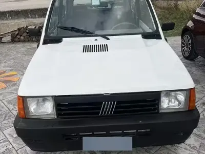 Usata Fiat Panda 4x4 54 CV (39 kW) 2003 Bianco Utilitaria