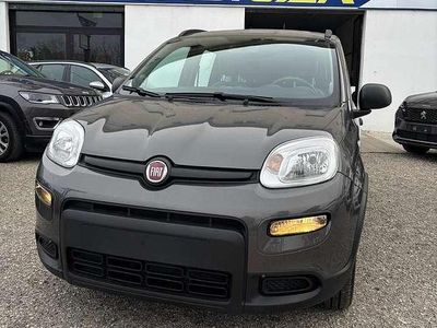 Usata Fiat Panda City Life 69 CV (50 kW) 2022 Grigio Berlina