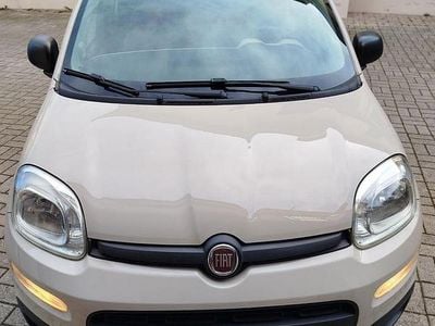 Usata Fiat Panda 69 CV (50 kW) 2014 Bianco Utilitaria