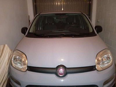 usata Fiat Punto 5p 1.2 Young